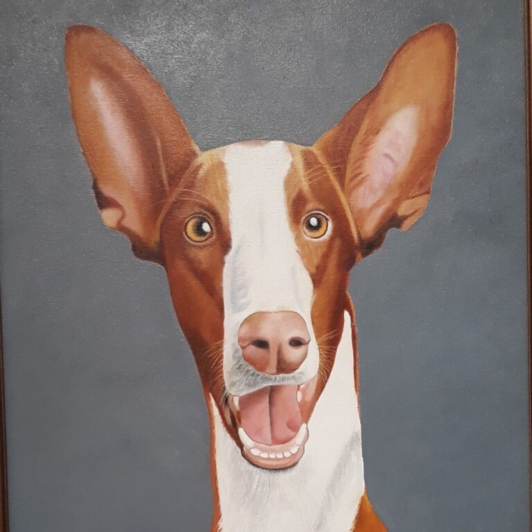 chien ibicenco artiste port Ibiza
